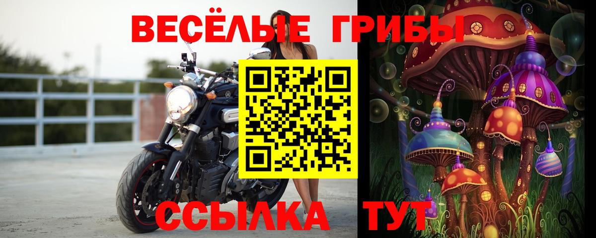 Галлюциногенные грибы Cubensis  Галлюциногенные грибы MAGIC MUSHROOMS  Вход с VPN  даркнет сайт  Новосибирск 